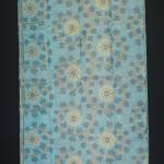 Handwoven Sky Blue Cotton Saree