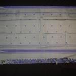 Kanchipuram silk Blue temple Border Saree