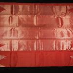 Kanchipuram Silk Orange Temple Border Saree