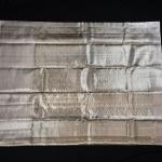 Kanchipuram Silk Silver Zari monotone tissue saree